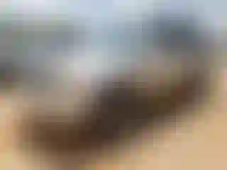Vehicle Image- 2005 Toyota Highlander