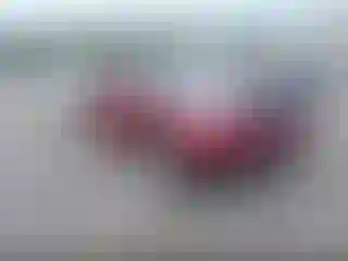 Vehicle Image- 2008 Toyota Highlander