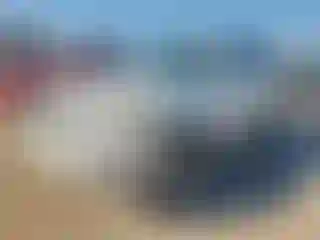 Vehicle Image- 2008 Toyota Highlander