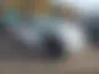 Vehicle Image- 2009 Toyota Highlander