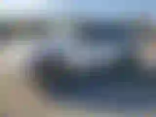 Vehicle Image- 2008 Toyota Highlander