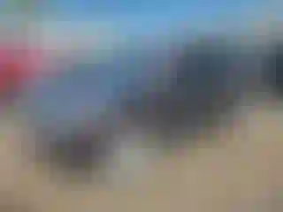 Vehicle Image- 2021 Toyota 4 Runner