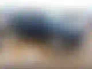 Vehicle Image- 2023 Toyota 4 Runner