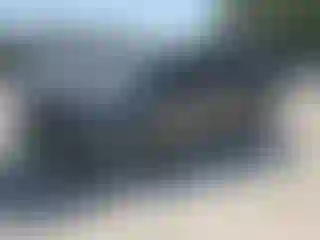 Vehicle Image- 2022 Toyota 4 Runner