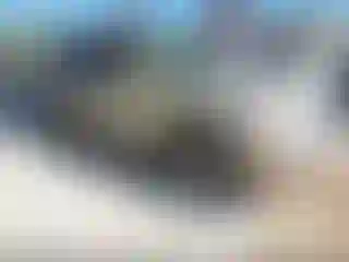 Vehicle Image- 2006 Toyota Highlander