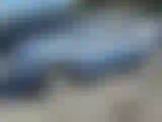 Vehicle Image- 2008 Toyota Highlander