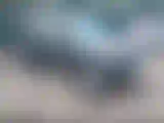 Vehicle Image- 2021 Toyota 4 Runner