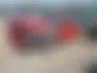 Vehicle Image- 2023 Toyota 4 Runner