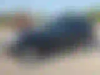 Vehicle Image- 2005 Toyota RAV4