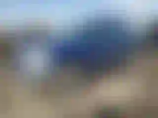 Vehicle Image- 2004 Toyota RAV4