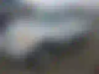 Vehicle Image- 2004 Toyota RAV4