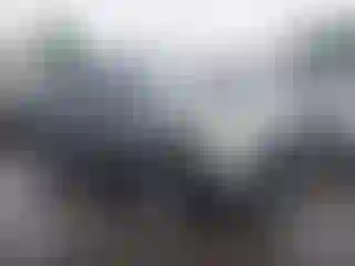Vehicle Image- 2004 Toyota RAV4