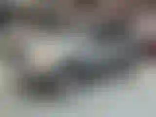 Vehicle Image- 2005 Toyota RAV4