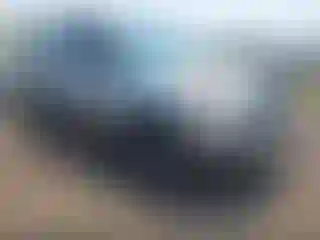 Vehicle Image- 2004 Toyota RAV4
