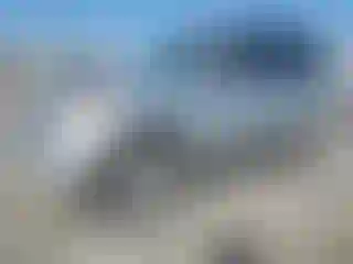 Vehicle Image- 2004 Toyota RAV4