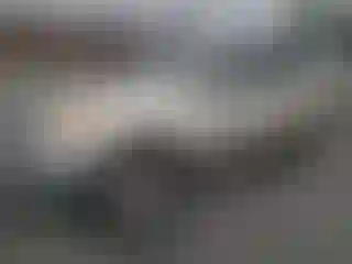 Vehicle Image- 2005 Toyota RAV4