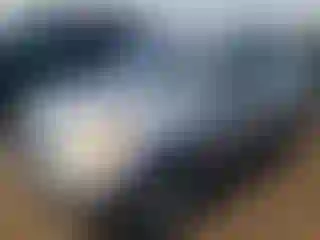 Vehicle Image- 2004 Toyota RAV4