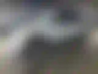 Vehicle Image- 2004 Toyota RAV4