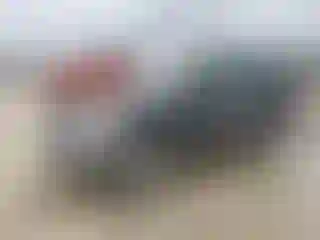 Vehicle Image- 2005 Toyota RAV4