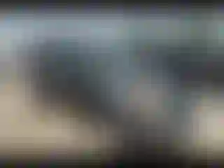 Vehicle Image- 2005 Toyota RAV4