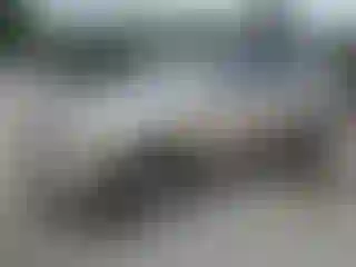 Vehicle Image- 2004 Toyota Highlander