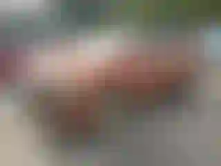 Vehicle Image- 2003 Toyota Highlander