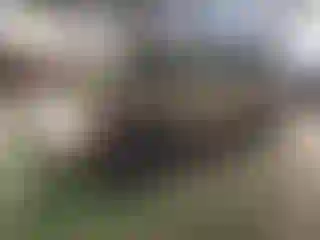 Vehicle Image- 2005 Toyota Highlander