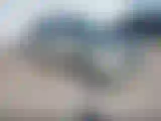 Vehicle Image- 2001 Toyota Highlander