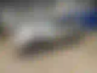 Vehicle Image- 2004 Toyota Highlander