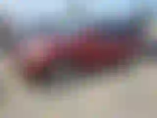 Vehicle Image- 2006 Toyota Highlander