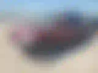 Vehicle Image- 2004 Toyota Highlander