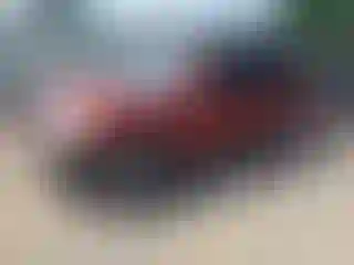 Vehicle Image- 2003 Toyota Highlander