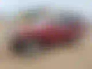Vehicle Image- 2005 Toyota Highlander