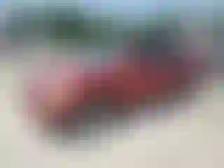 Vehicle Image- 2003 Toyota Highlander