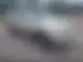 Vehicle Image- 2003 Toyota Highlander