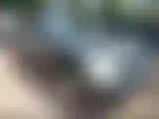Vehicle Image- 2003 Toyota Highlander