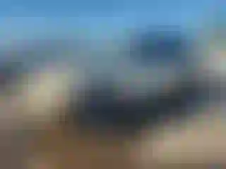 Vehicle Image- 2002 Toyota Highlander