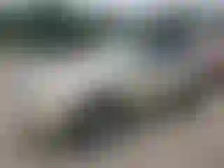 Vehicle Image- 2003 Toyota Highlander