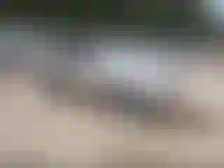 Vehicle Image- 2002 Toyota Highlander