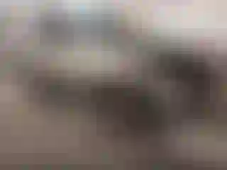 Vehicle Image- 2003 Toyota Highlander