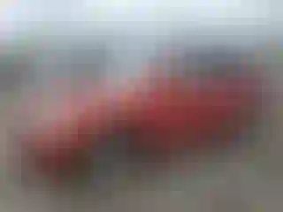 Vehicle Image- 2002 Toyota Highlander