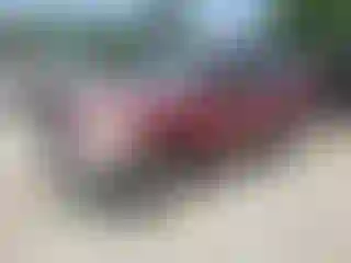 Vehicle Image- 2003 Toyota RAV4