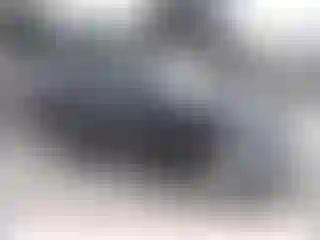 Vehicle Image- 2002 Toyota RAV4
