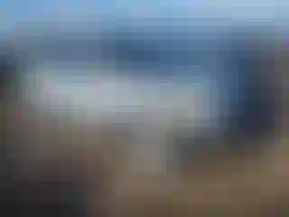 Vehicle Image- 2002 Toyota RAV4