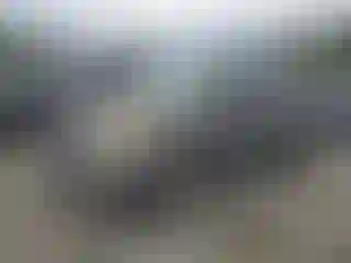 Vehicle Image- 2003 Toyota RAV4