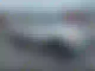 Vehicle Image- 2002 Toyota RAV4