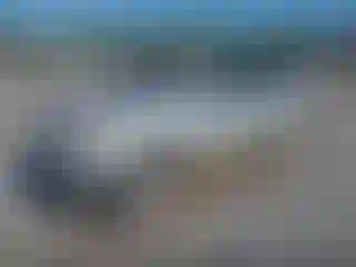 IMPORTOWO.pl