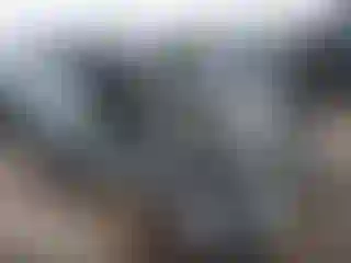 Vehicle Image- 2002 Toyota RAV4