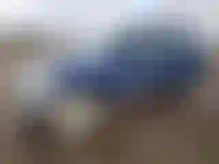 Vehicle Image- 2003 Toyota RAV4