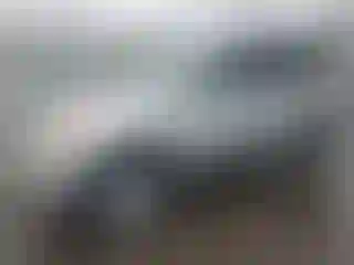 Vehicle Image- 2002 Toyota RAV4